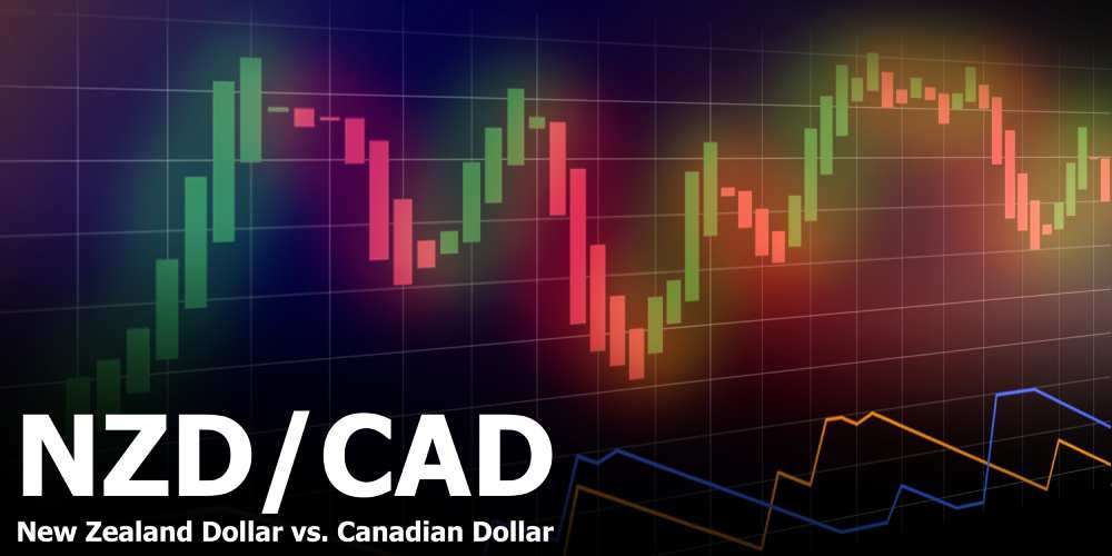 NZD/CAD Daily analysis 